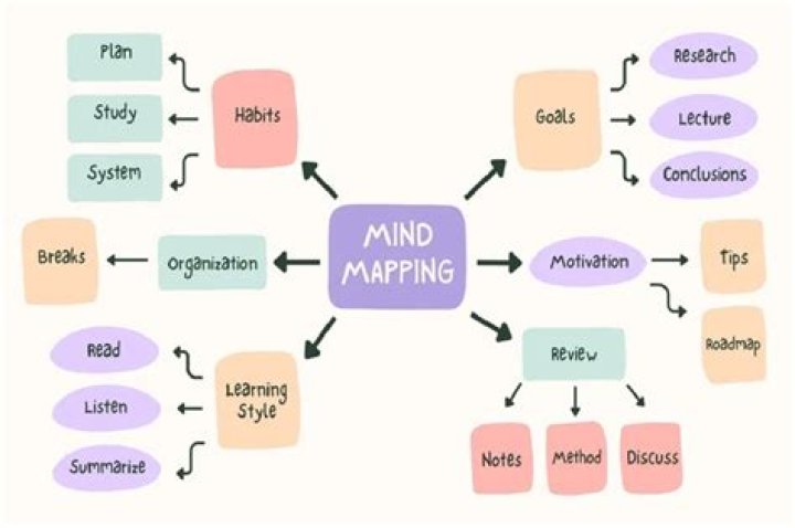 Bobbi Sanfilippo: The Mother Of Mind Mapping