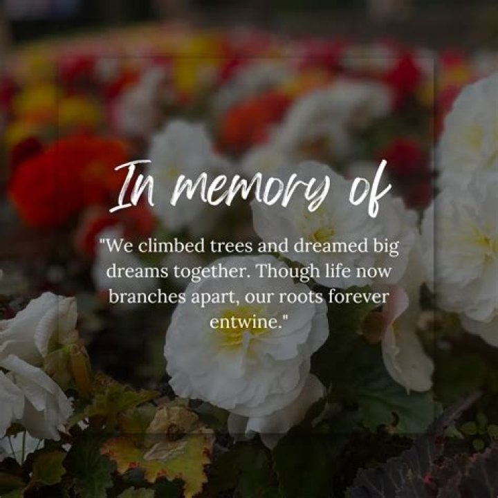 In Memoriam: Remembering Paul Woodard's Legacy
