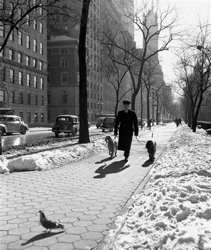 In Memoriam: Remembering The Life Of Fred Stein